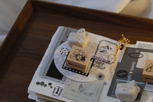 Bear & Girl: Travel Together Again